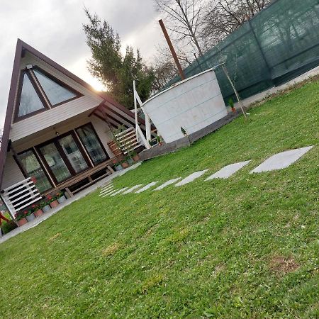 Cabana La Bica Magureni エクステリア 写真